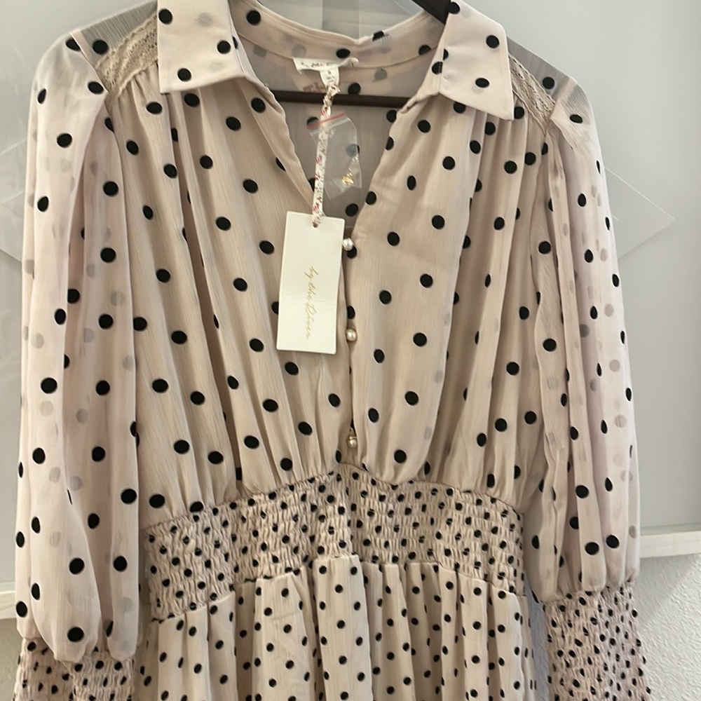 🪞🏞 sheer By the river poka dot dress🪞 - Picture 5 of 10